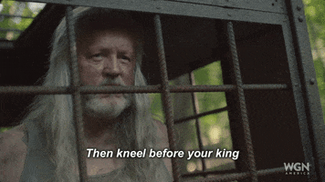wgn america king GIF by Outsiders