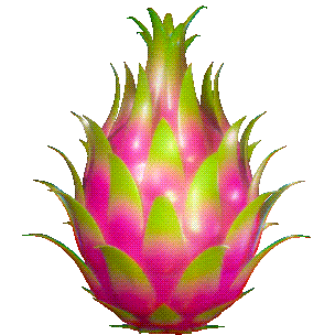Dragon Fruit Sticker
