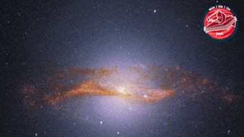 James Webb Universe GIF by ESA Webb Space Telescope
