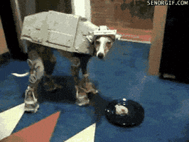 Star Wars Dog GIF