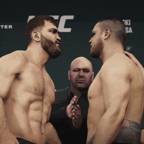 stare down ufc 3 GIF by EA SPORTS UFC