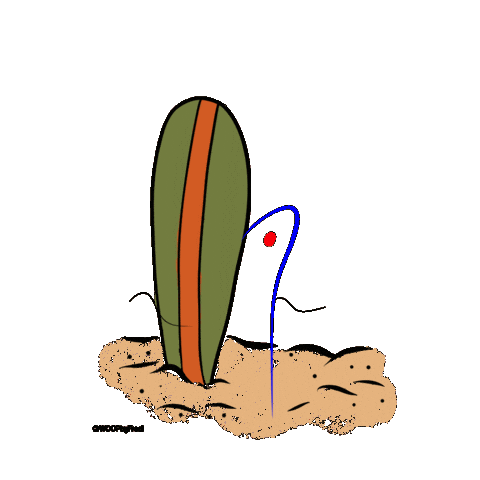 Cartoon Sticker