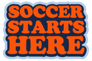 Sticker by AYSO