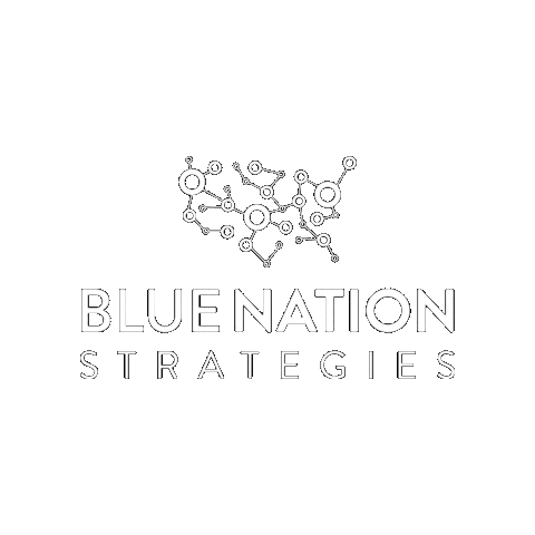 Blue Nation Strategies Sticker
