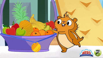 Eating Healthy Fruit Salad GIF by PBS KIDS