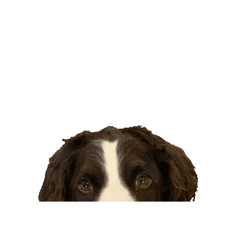 Flair Communication Sticker