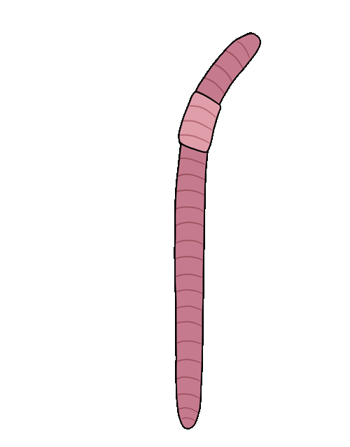 Animated Sticker for iOS & Android GIPHY