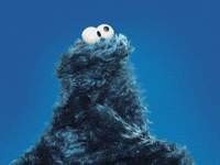 Confused What The GIF by Sesame Street Confused What The GIF by Sesame Street