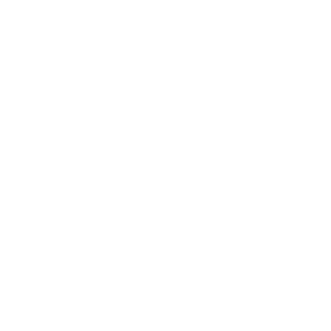Rlag Sticker by Ride Like a Girl Racing