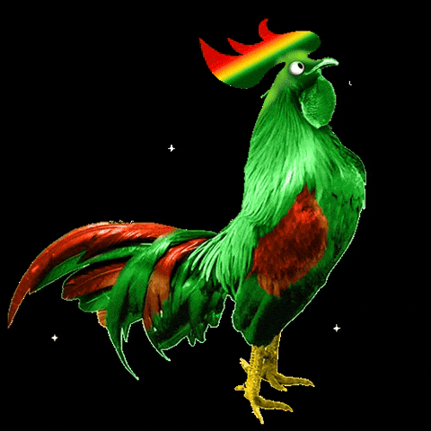 Comercial Gallo Verde GIF