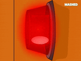 Warning Red Light GIF by Mashed