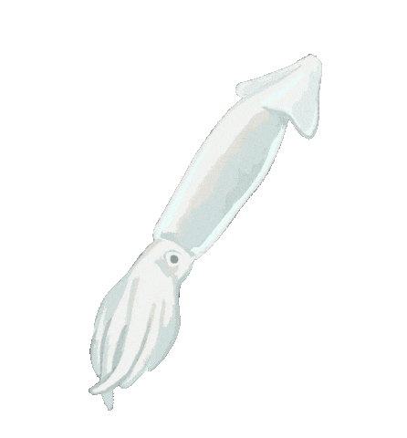 Ocean Fish Sticker