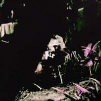 200.gif?cid=fc005b0838f241bbd539129a2ba04006c05e08b17992cf0b&rid=200.gif&ct=g