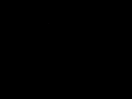 Fox Haynes GIF