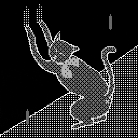 Cat GIF by Norka Ivanov