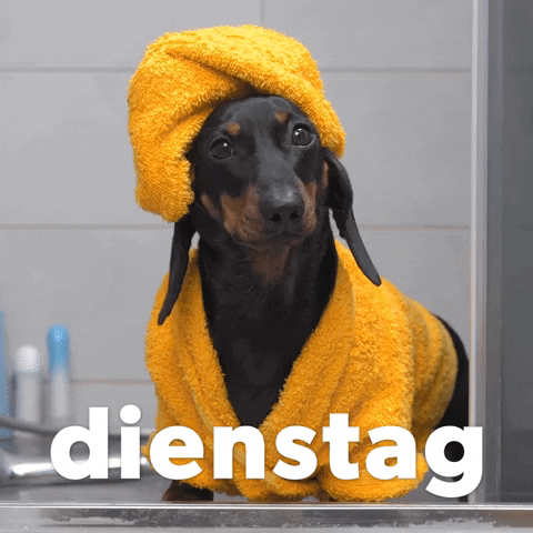 German Dienstag GIF by Sealed With A GIF