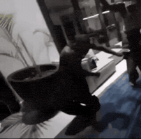 Dance GIF