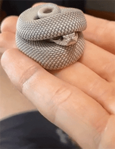 Snake GIF