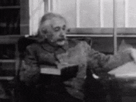 albert einstein GIF