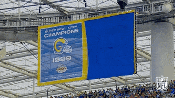 This Is For You Regular Season GIF by NFL