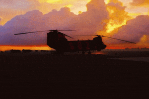 Flying Armed Forces GIF by California Army National Guard