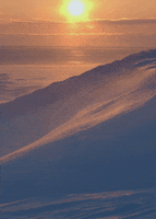 200.gif?cid=fc005b088ed76c1a0ce5b1d93dbed2326a73598d03ca85ce&rid=200.gif&ct=g