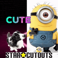 Minions-congratulations GIFs - Get the best GIF on GIPHY Minions-congratulations GIFs - Get the best GIF on GIPHY