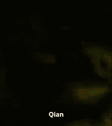Baby GIF