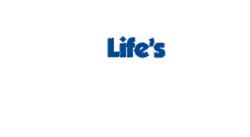 Summer Life Sticker by Blue Star Ferries