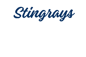 Echl Lets Go Rays Sticker by SCStingrays