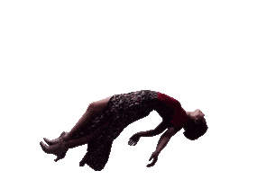 Sony Pictures Brasil Sticker