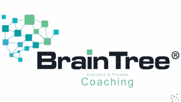 BrainTreeSolutions GIF