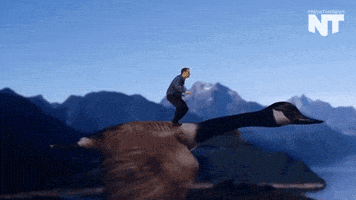 breaking news GIF by NowThis 