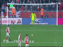 naderibrahim  GIF