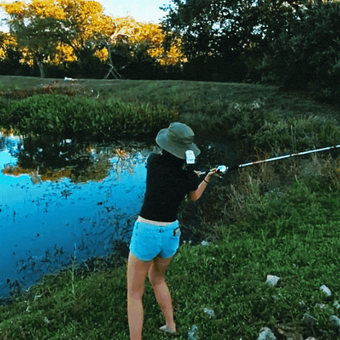 Fish Fishing GIF