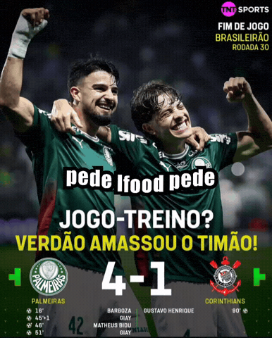 Corinthians Libertadores GIF