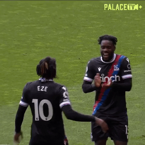 Premier League Yes GIF by Crystal Palace Football Club