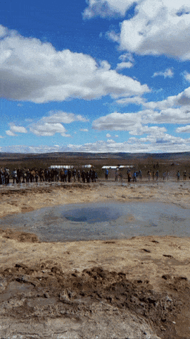 giphy-downsized-large.gif