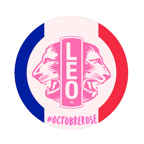 Leo Club Lions Sticker by Leo Club France