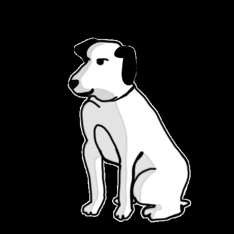 WLP London GIFs on GIPHY - Be Animated