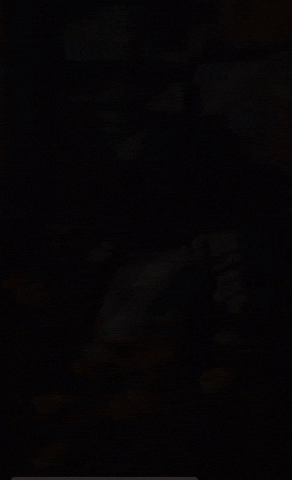 Princess Knight GIF