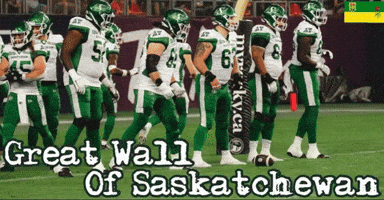 Great Wall Cfl GIF