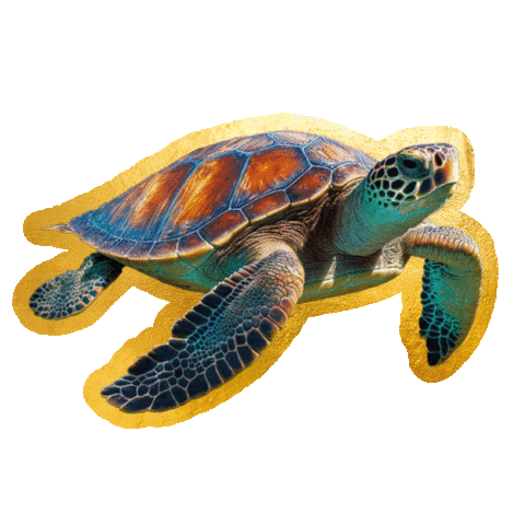 Clearing Results Day Sticker by University of Derby