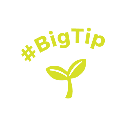 Bigseed Sticker