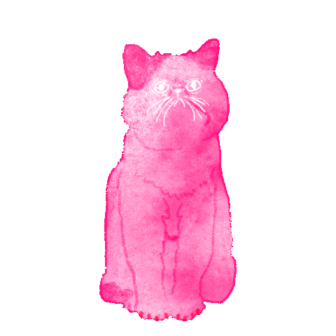 Cat Heart Sticker
