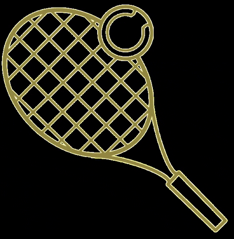 EasyTennis sport tennis easy tennis GIF
