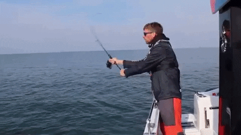 Fishing Fishon Gif By Amiaud - Find &Amp; Share On Giphy