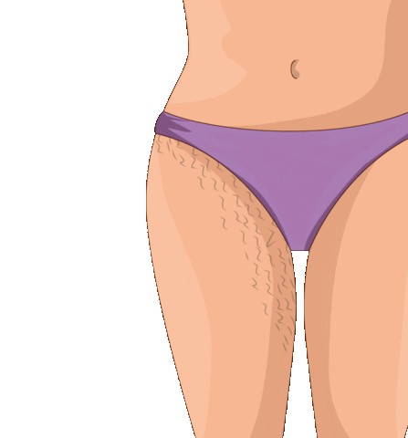 Jenzi Beauty Sticker