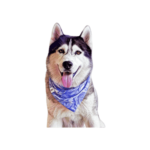 Siberianmarcus Sticker by Bellucci Manila