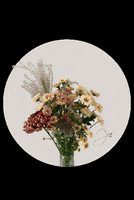 200.gif?cid=fc005b08dc78bd7378c691fa676d6e0ca0578d8d3003f5bb&rid=200.gif&ct=g
